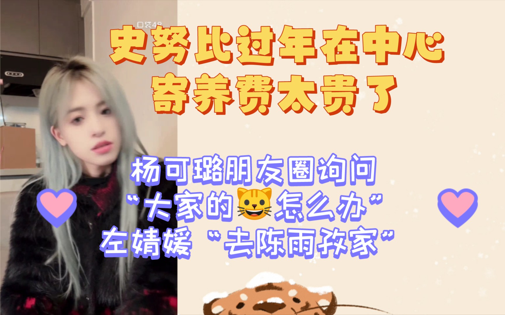 【杨可璐】【良陈美婧】“大家的猫都怎么办呀”左婧媛“去陈雨孜家”没有问到便宜的𐟐𑥯„养但被秀到了哔哩哔哩bilibili