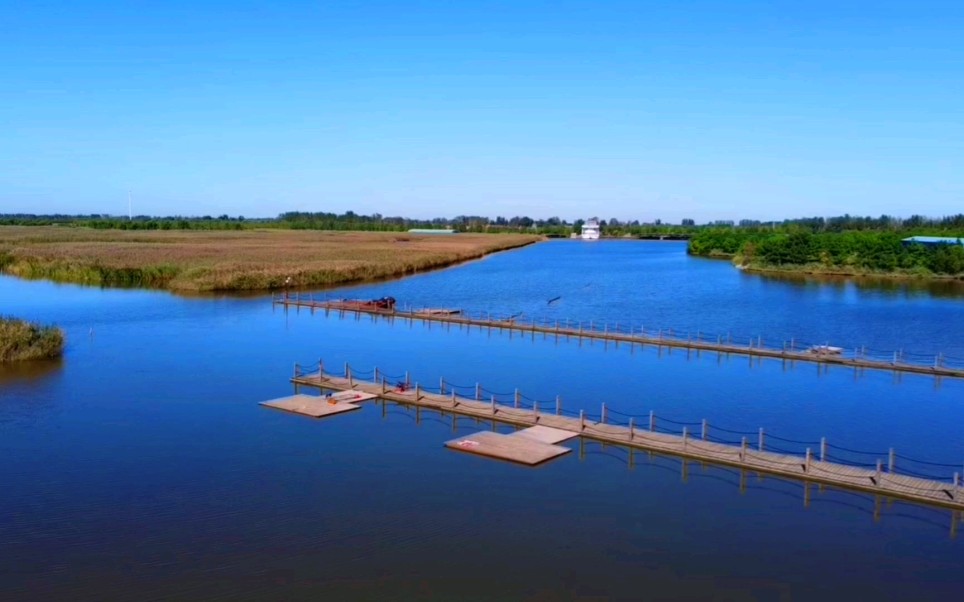 低空飞行航拍天津宝坻大唐湿地,宝坻湿地真多,一个比一个漂亮!