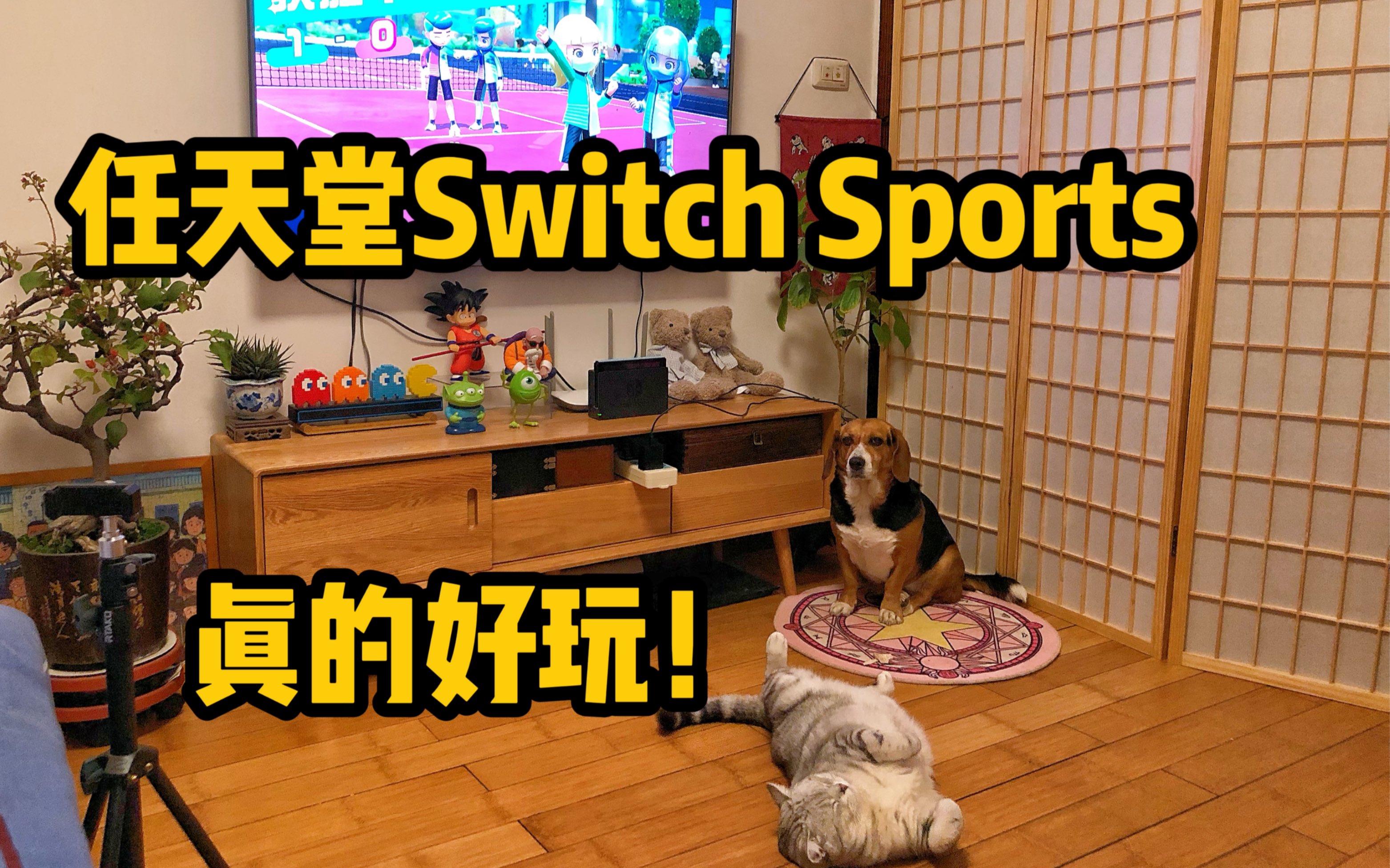 Switch Sports|今天和我爸一起打羽毛球𐟏𘯸单机游戏热门视频