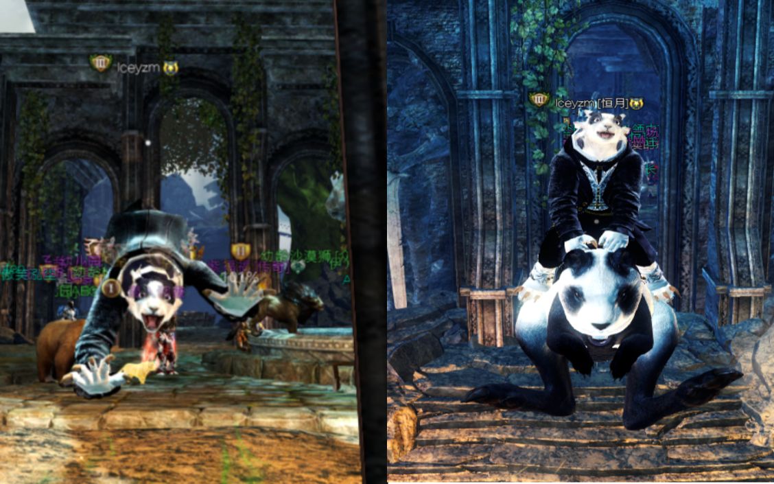 激战2 夏尔憨憨捏脸展示