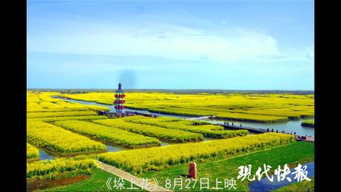 垛上花 8月27日上映 哔哩哔哩 Bilibili