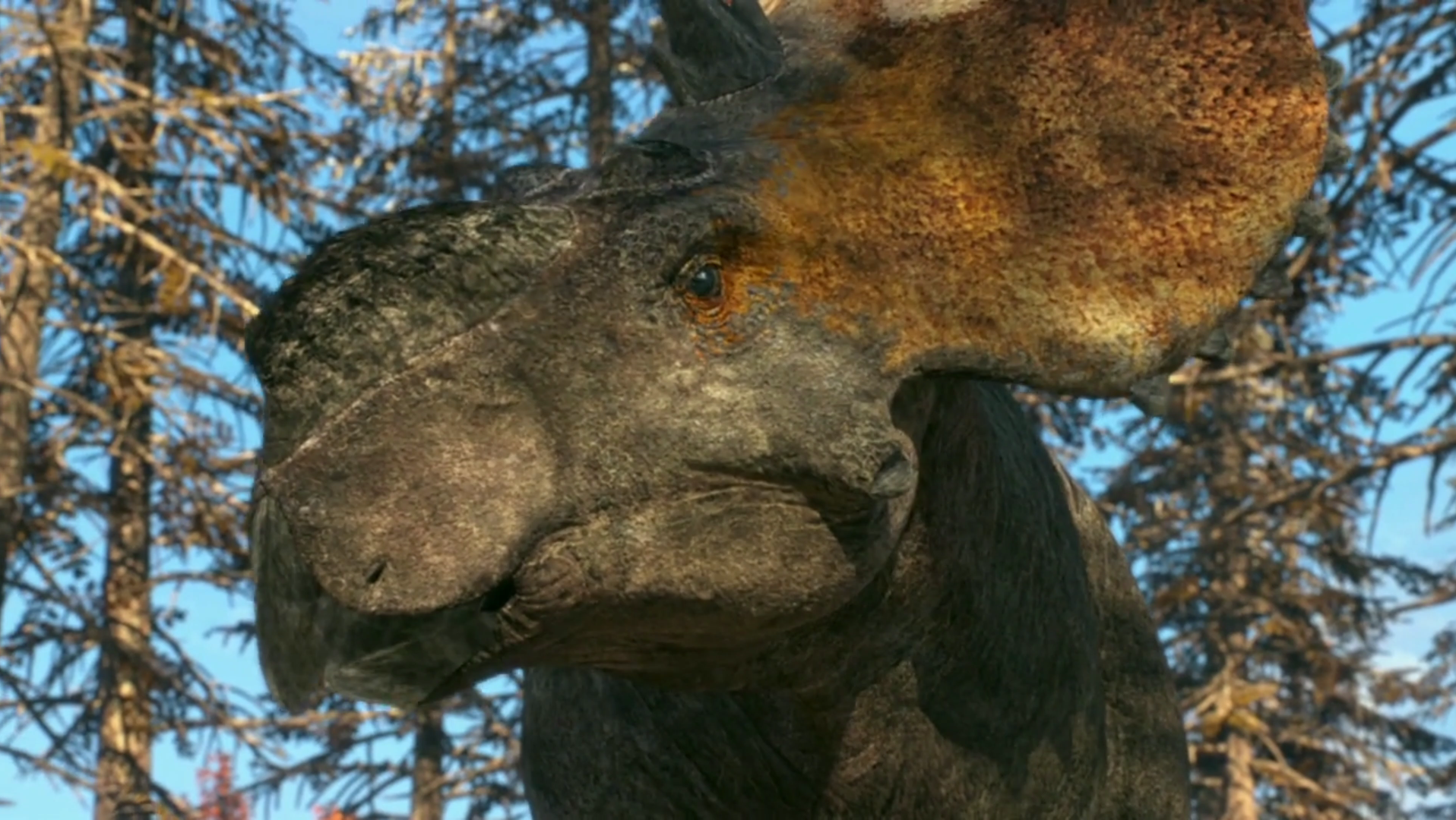 智商不如鸟的厚鼻龙恐龙