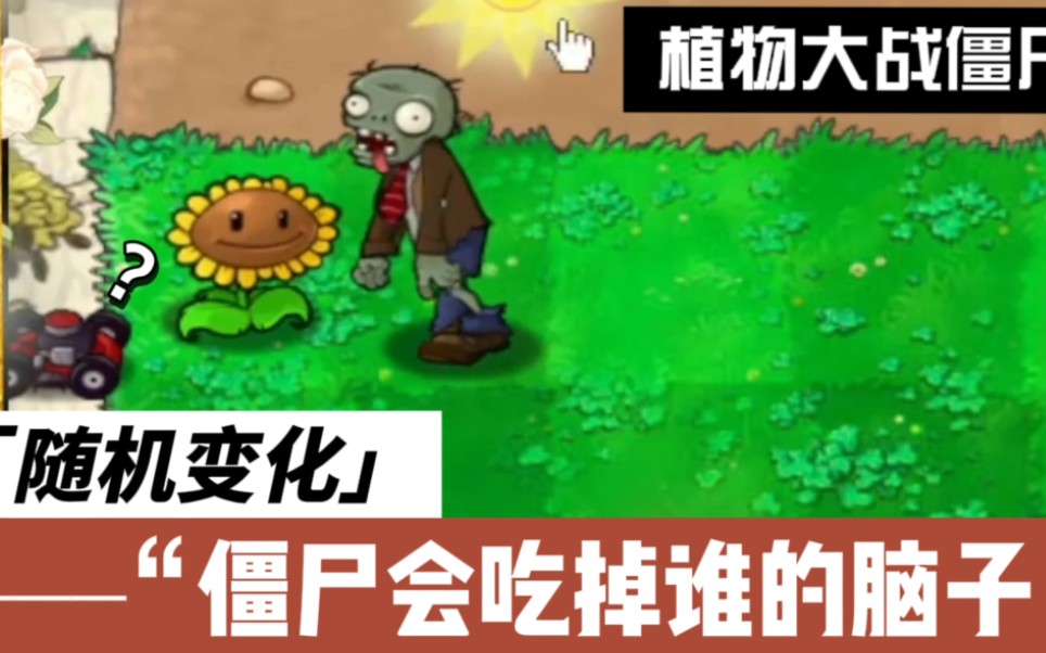 当我第一次打开"随机版"植物大战僵尸