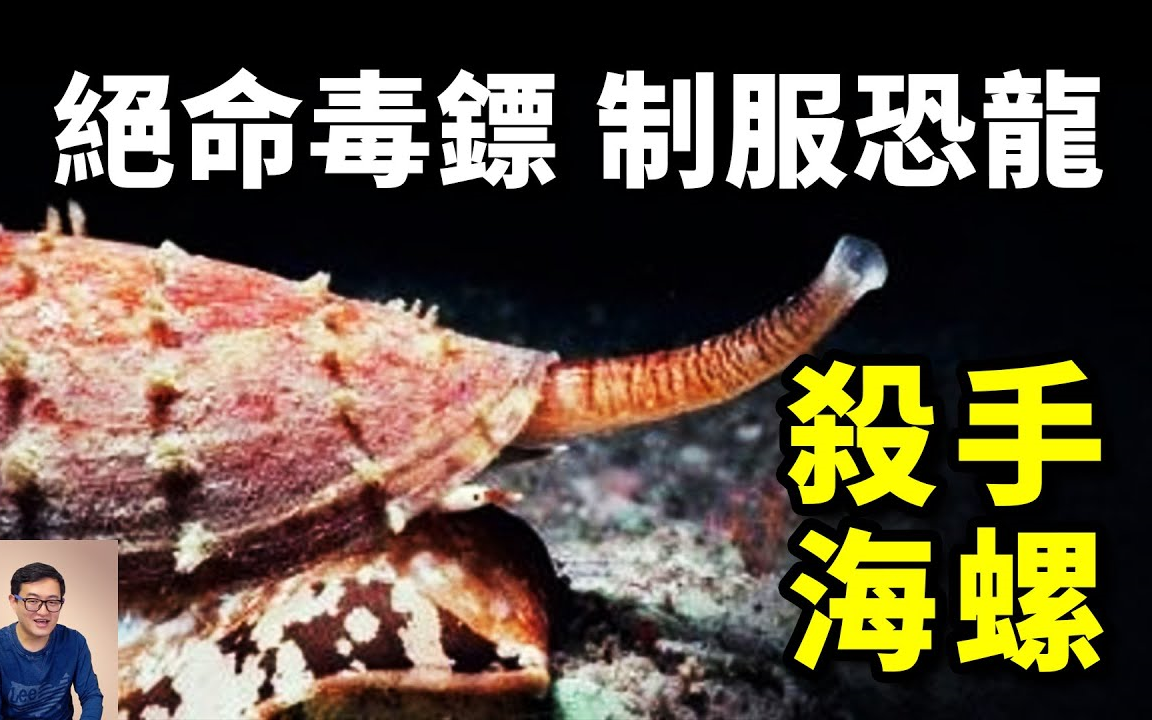 2022.09.016搬运【老肉杂谈】海螺:有杀死恐龙的实力?还能整条吞鱼吃!最低调的海洋超级杀手哔哩哔哩bilibili