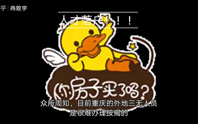 重庆三无人才落户哔哩哔哩bilibili