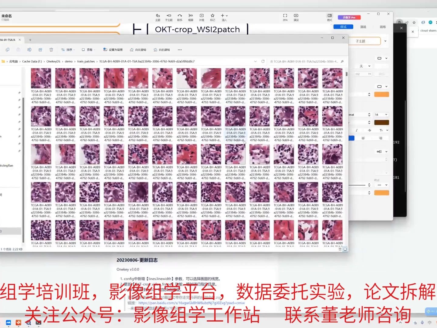 基于深度学习的结直肠息肉自动分类方法的对抗性样本生成与防御方法研究哔哩哔哩bilibili