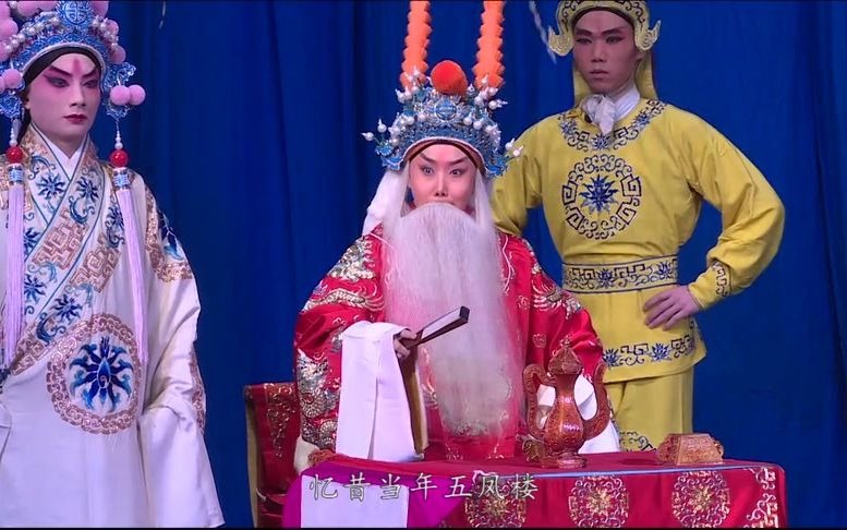 珠帘寨王若丁太保传令把队收