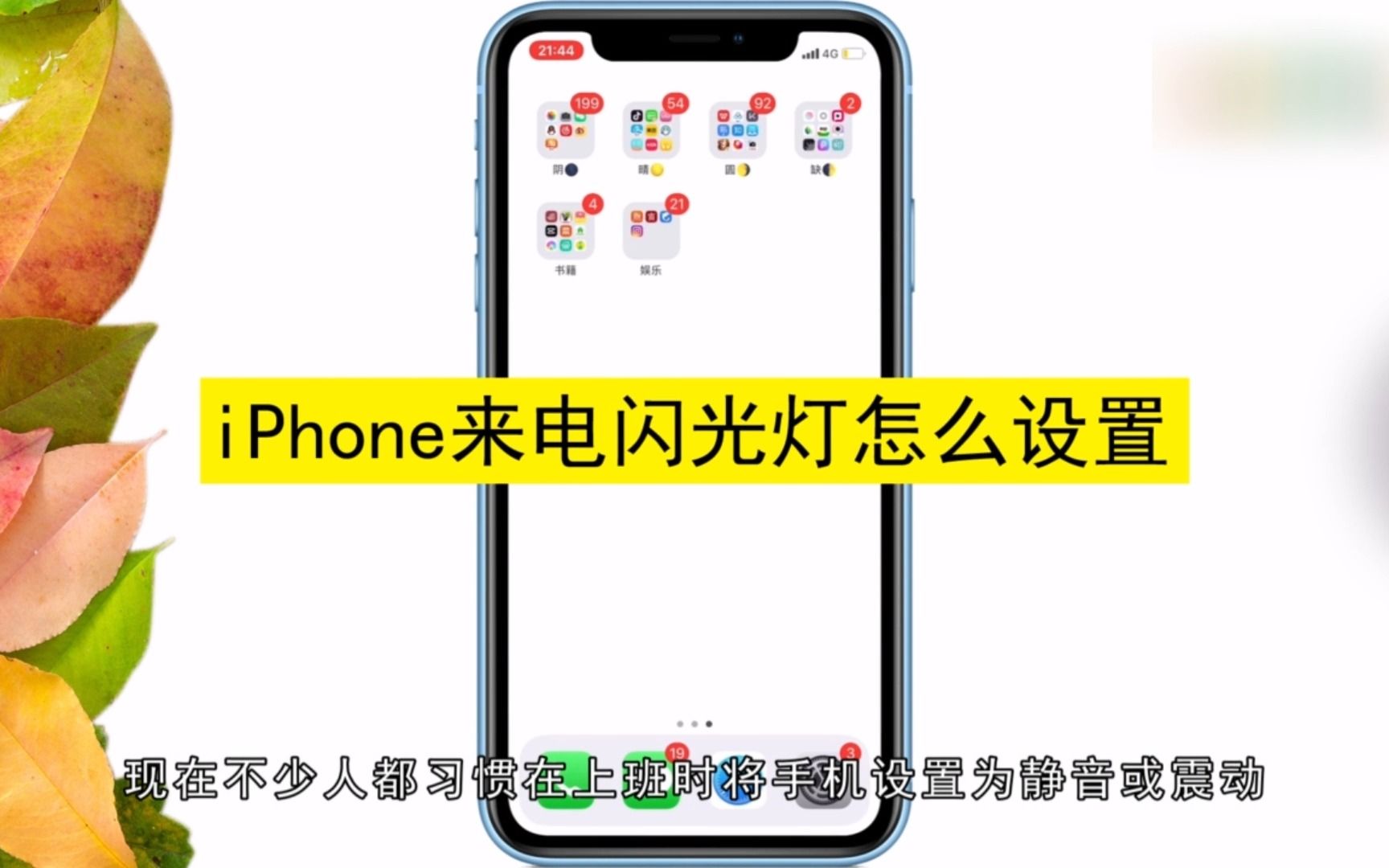 iPhone如何设置来电闪光灯,iPhone设置来电闪光灯哔哩哔哩bilibili