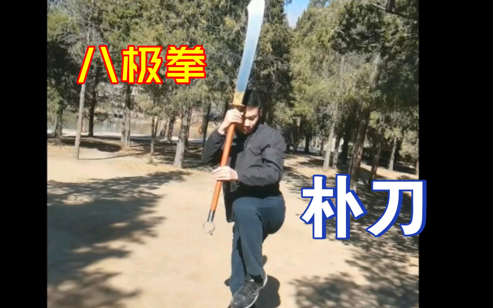 八极拳朴刀:百炼成钢的实战利器!哔哩哔哩bilibili