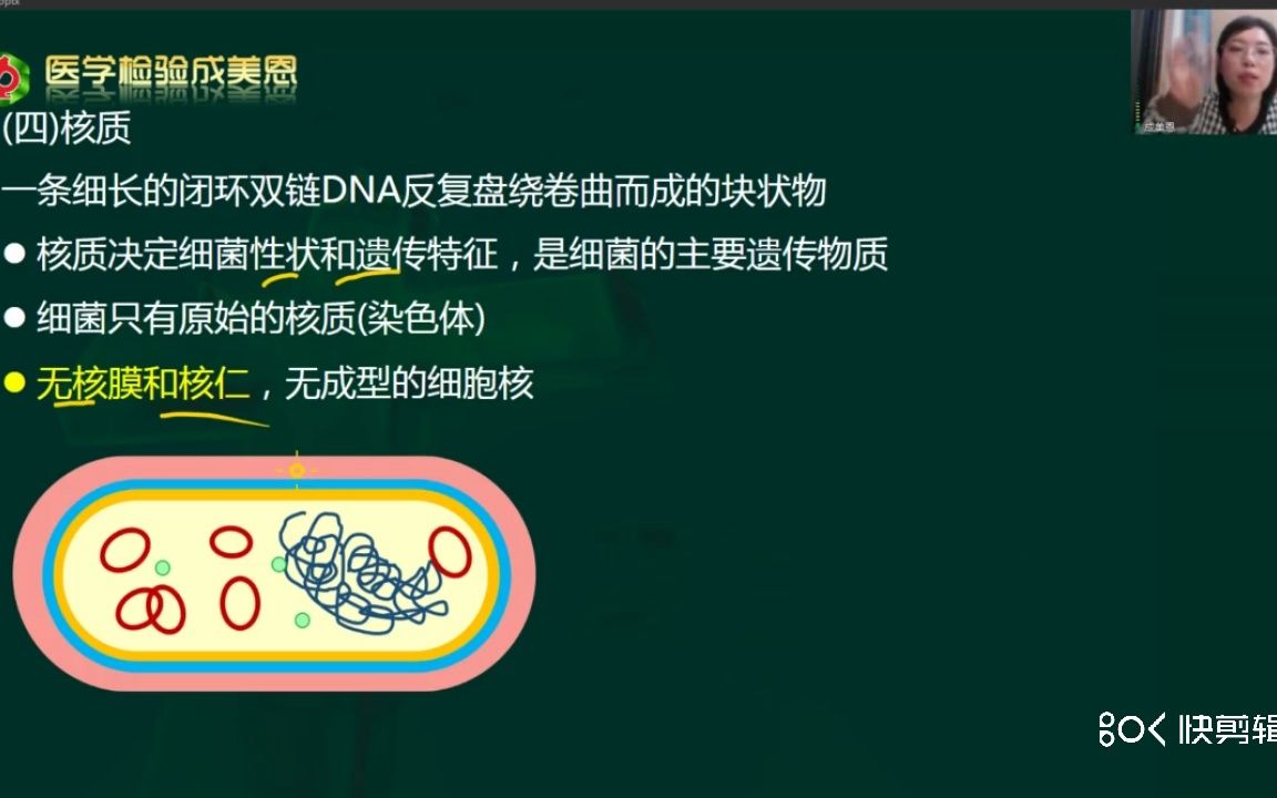 临床微生物检验(核质)——医学检验成美恩哔哩哔哩bilibili