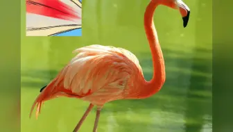 动物圈9月，6