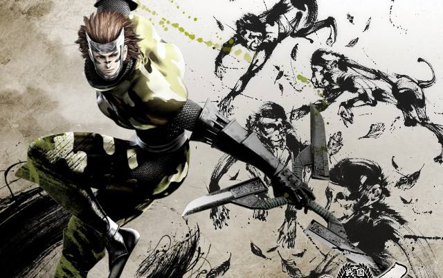 战国basara4皇苍天疾驱猿飞佐助