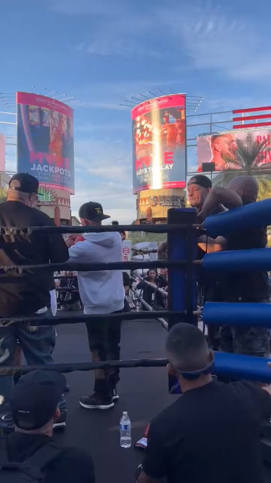 ufc"小麻"内特·迪亚兹来支持克里斯·阿维拉的公开训练_哔哩哔哩