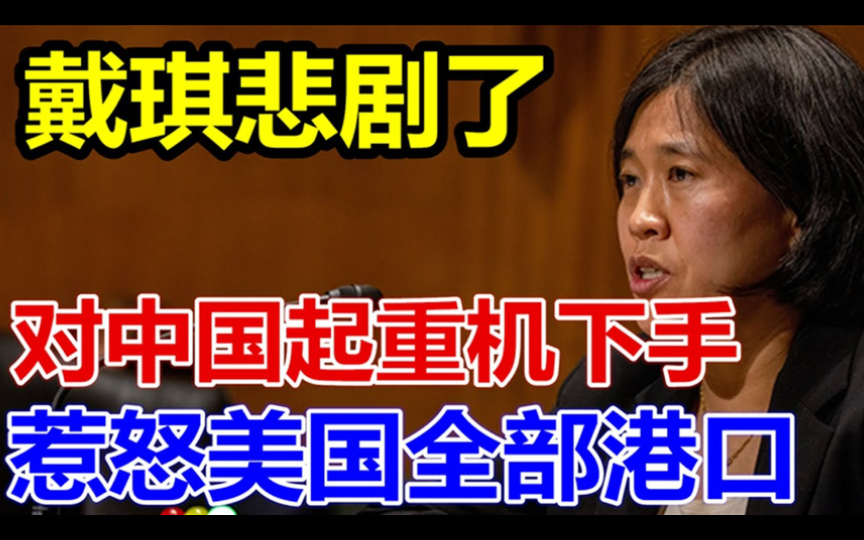 戴琪悲剧了、对中国起重机下手、结果惹怒美国全部港口、哔哩哔哩bilibili