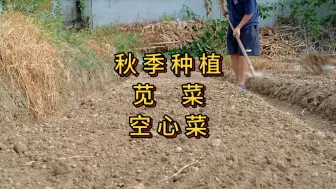 Descargar video: 秋季苋菜空心菜种植方法