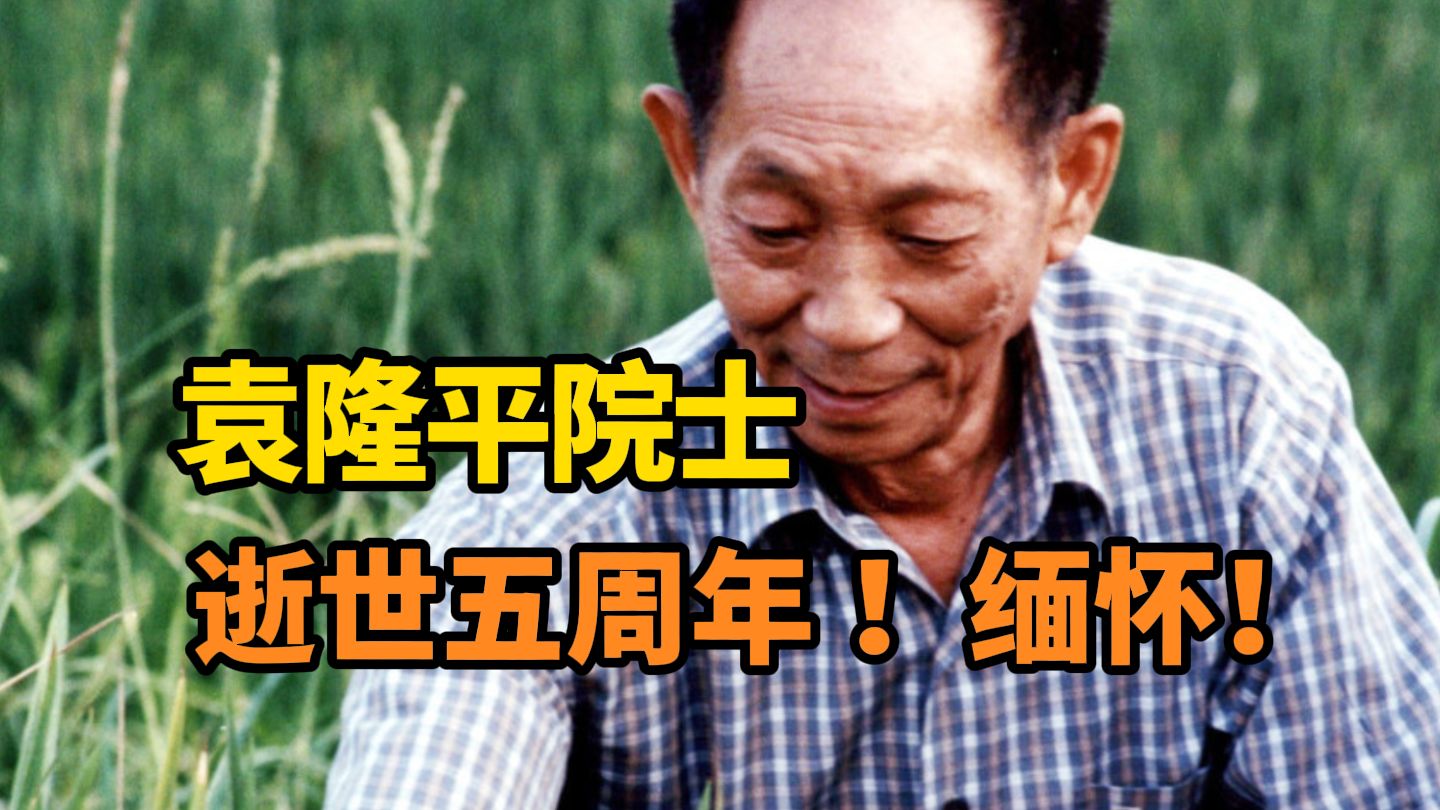 请停留三秒，为袁老献花！5月22日，是袁隆平院士逝世五周年，他一生扎根田野，倾尽毕生心力，凭一粒稻种改变了世界！