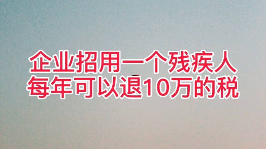 企业招用一个残疾人,每年可以退10万的税哔哩哔哩bilibili