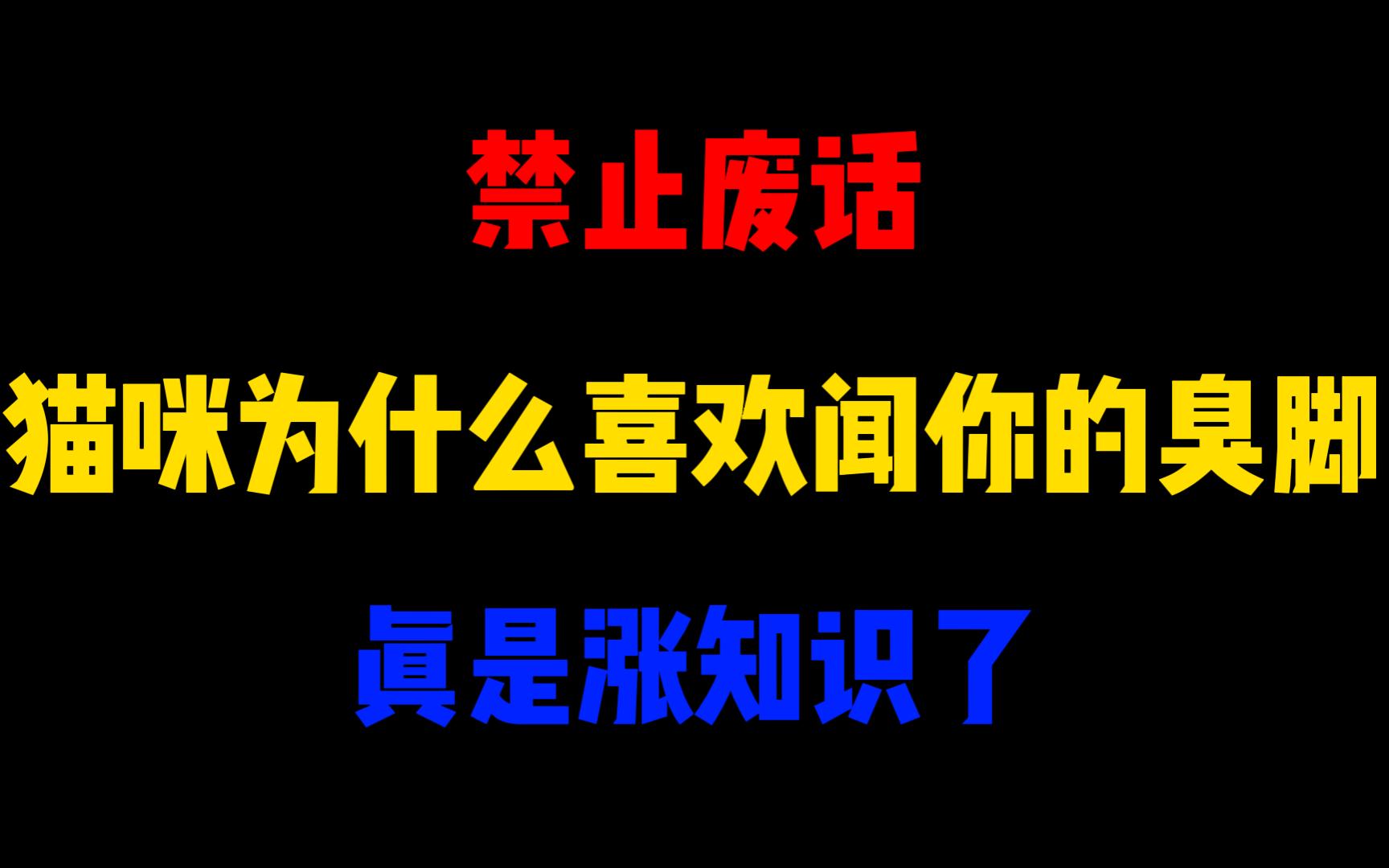 禁止废话:猫咪为什么喜欢闻你的臭脚?涨知识了哔哩哔哩bilibili