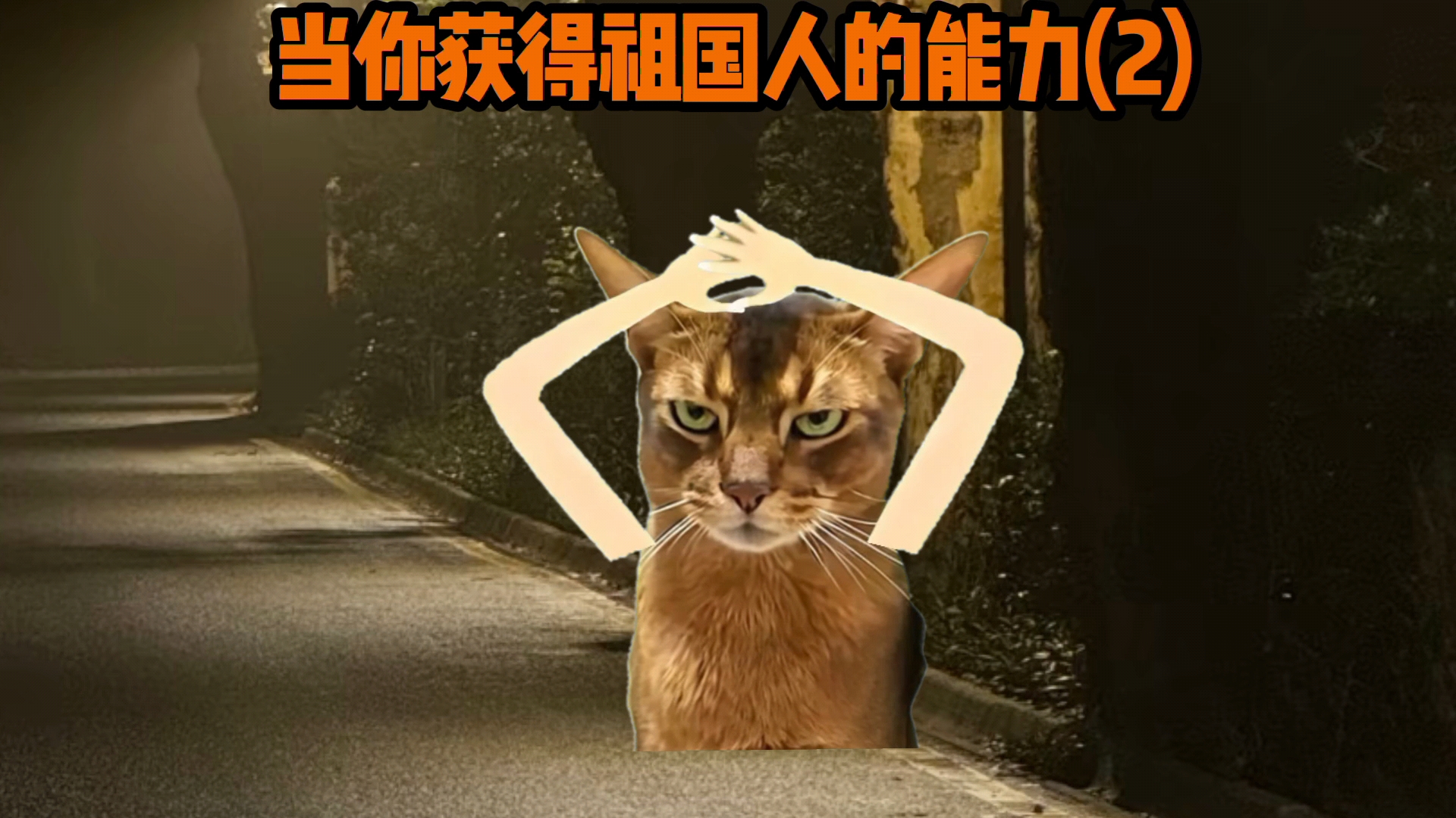当你获得祖国人的能力(2)