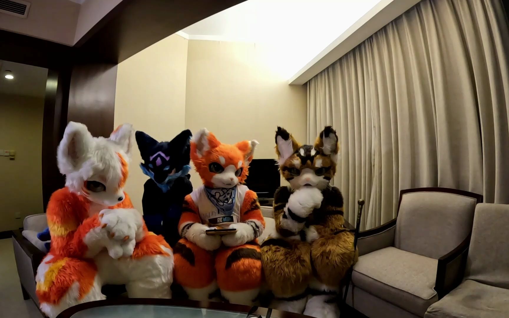 【喵仔瑞狩】极兽聚展前毛播!2023年8月5日(星期六)