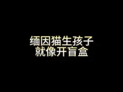 Download Video: 开出隐藏款了