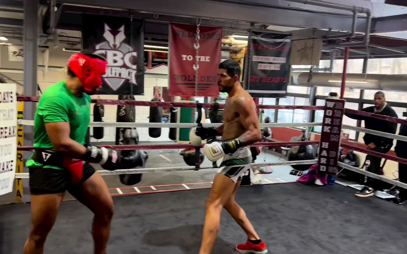 ufc佩雷拉实战训练