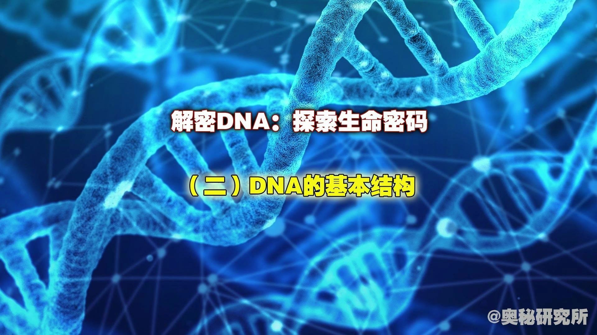 (二)DNA的基本结构哔哩哔哩bilibili