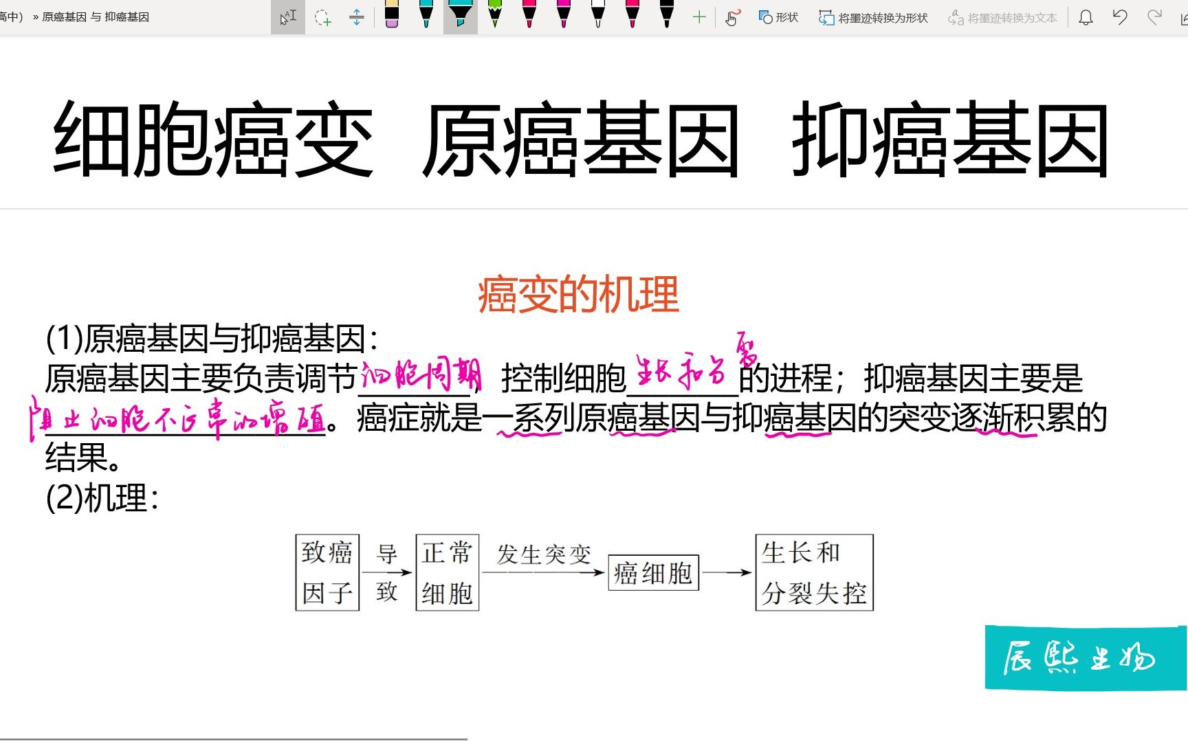 【高中生物】必修一|细胞癌变——原癌基因、抑癌基因哔哩哔哩bilibili