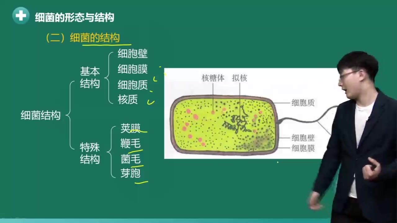 [图]2022最新版 检验类职称 主管检验师 微生物检验 主管检验技师精讲完整版