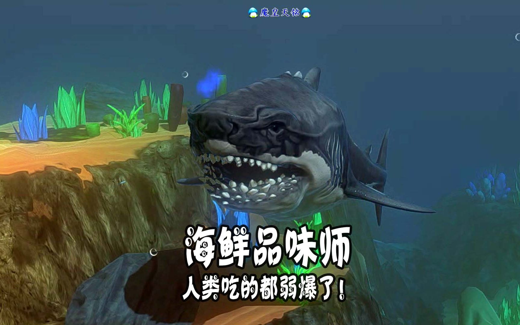 天铭 海底大猎杀 第二季 165 做最帅的巨齿鲨,吃最鲜活的海鲜!