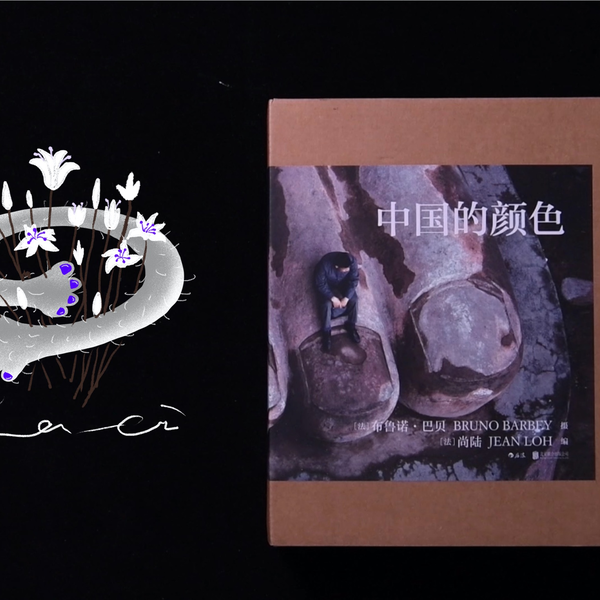 中国的颜色 BRUNO BARBEY 写真集　撮影集 Color Of China 中国的颜色 - By Bruno Barbey (Picture Book
