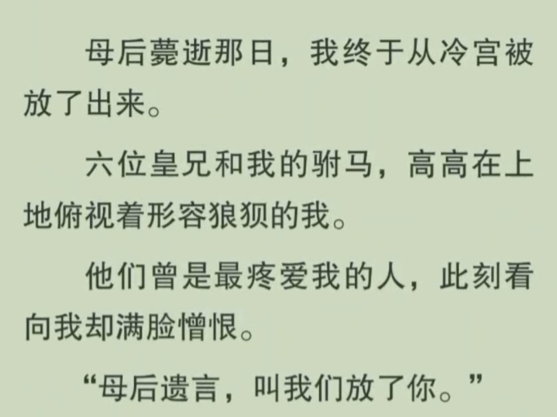 母后薨逝那日我心死跳下城楼,可一向厌恶我的皇兄们却疯了哔哩哔哩bilibili