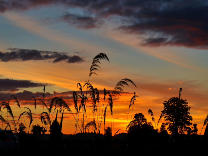 向晚意不适,驱车登古原._哔哩哔哩_bilibili