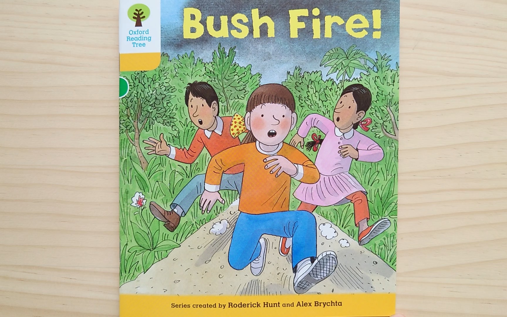[图]牛津阅读树L5“山林野火”-Bush Fire!