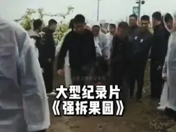 Download Video: 大学生回家创业种果园，县长带着400人，直接到果园把人抬走，并开始强行拆除果园！大型纪录片《强拆果园》