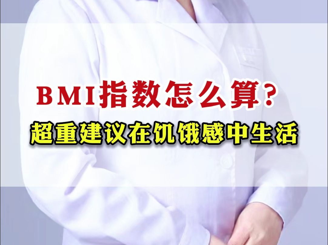 BMI指数怎么算?超重建议在饥饿感中生活哔哩哔哩bilibili