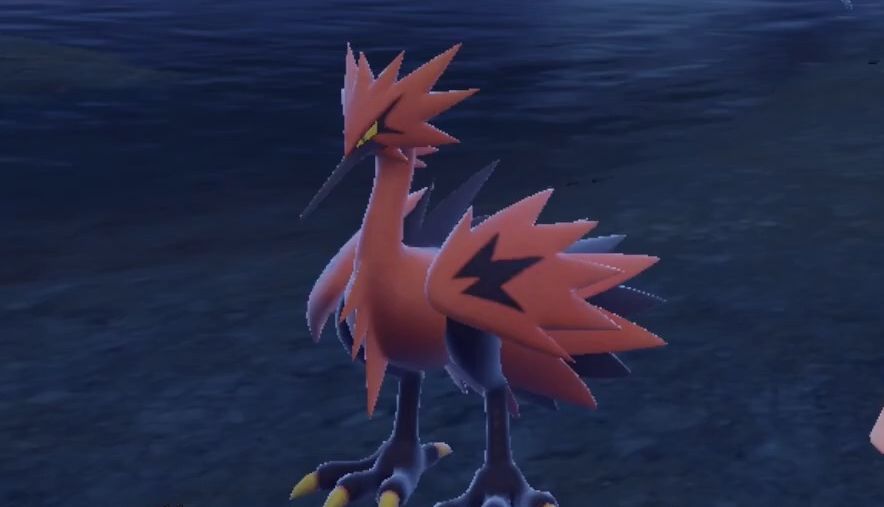 【宝可梦朱紫】同步器 动作展示 no.145 闪电鸟 伽勒尔的样子