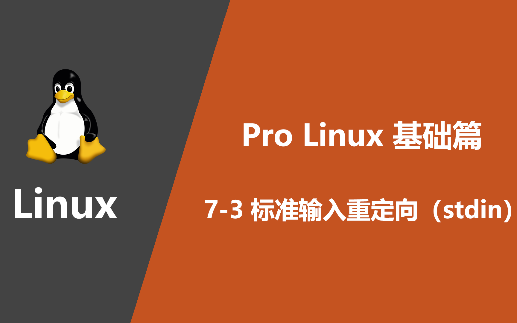 【原创ⷑG404】Pro Linux 基础篇丨73 标准输入重定向(stdin)哔哩哔哩bilibili