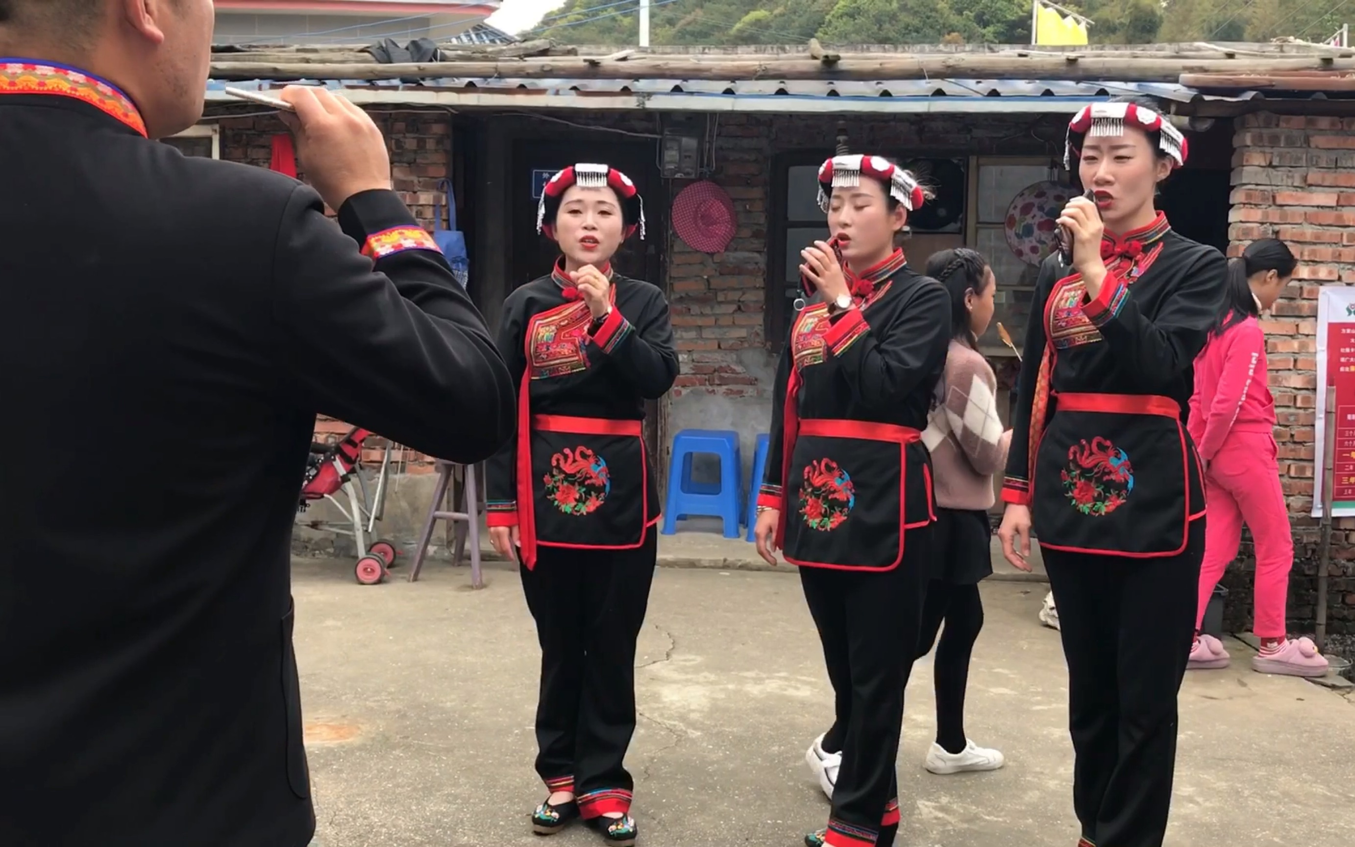 宁德福鼎有个畲族白茶村每年三月三都热闹非凡一起去看下吧