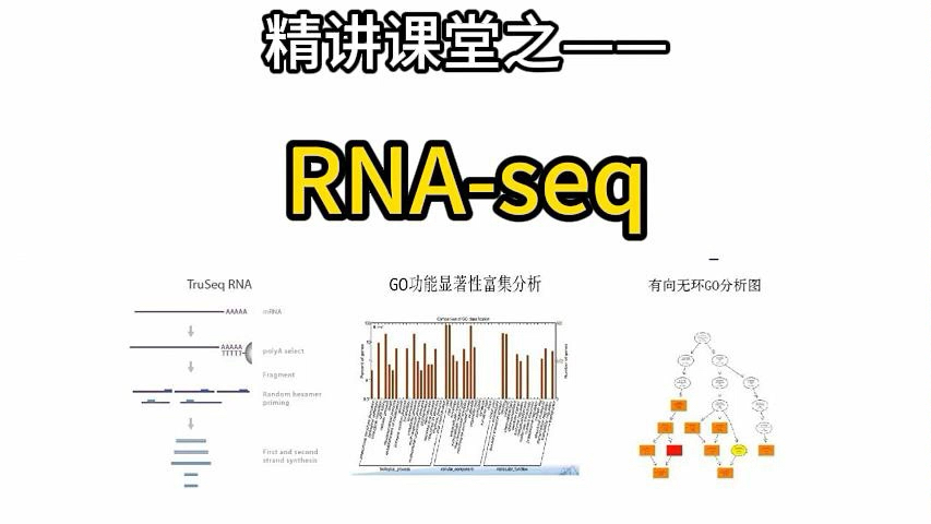 想深入了解 RNA 高通量测序技术吗?本期节目为您详细介绍,包括测序方法、数据分析等.快来探索 RNA 世界的奥秘吧!#RNA 高通量测序 #基因表达分析...