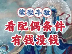 Download Video: 看配偶条件，有钱没钱。紫微斗数与八字案例讲解。武曲贪狼，廉贞七杀，紫微破军，太阳巨门，天同天梁，天机太阴。