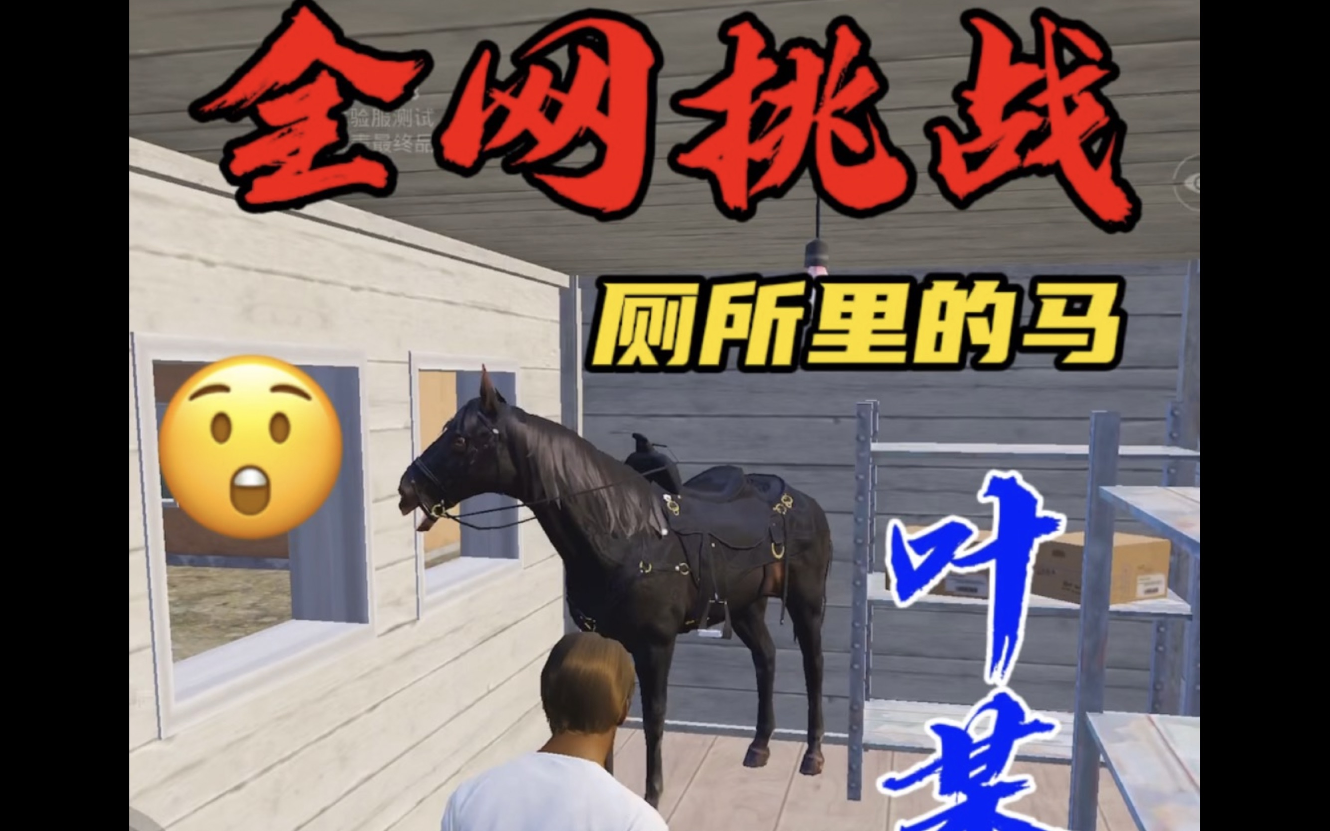 全网挑战叶某人#和平精英龙跃长城