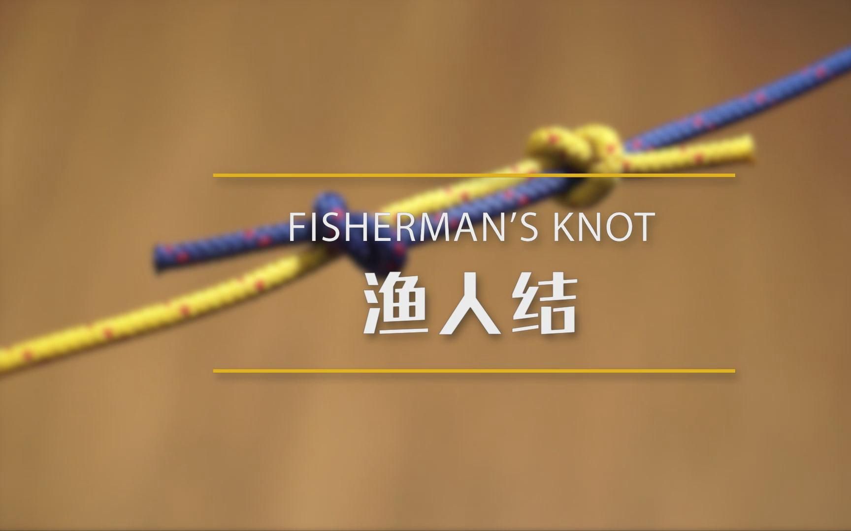 一日一结 第三集 渔人结 户外运动必备绳结打法教程哔哩哔哩bilibili