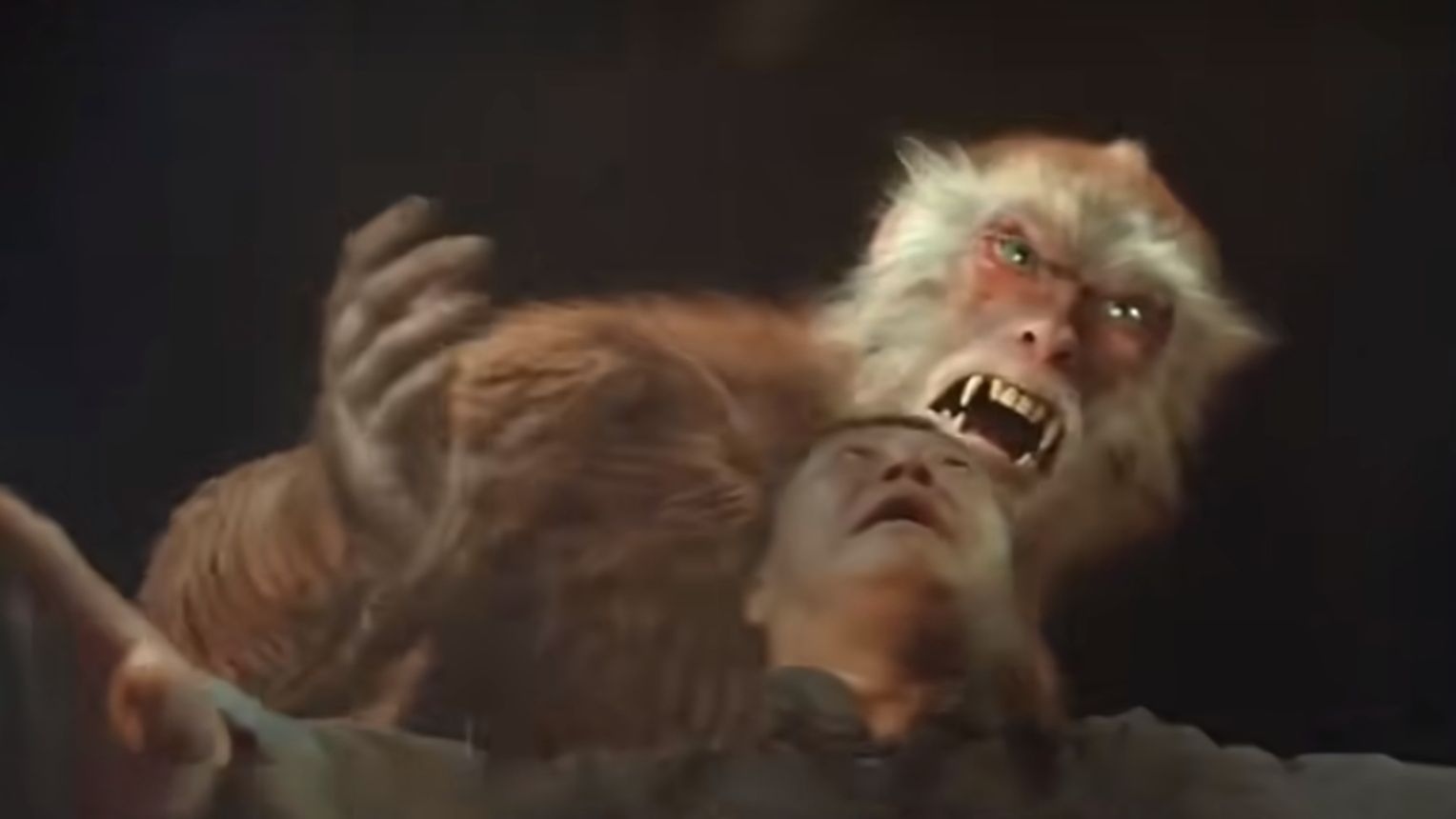 一家四口离奇死亡,村民找来高人调查,凶手竟然是传说中的大马猴