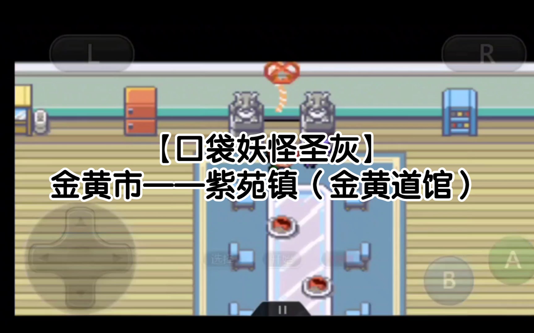 【口袋妖怪圣灰】金黄市——紫苑镇(金黄道馆)