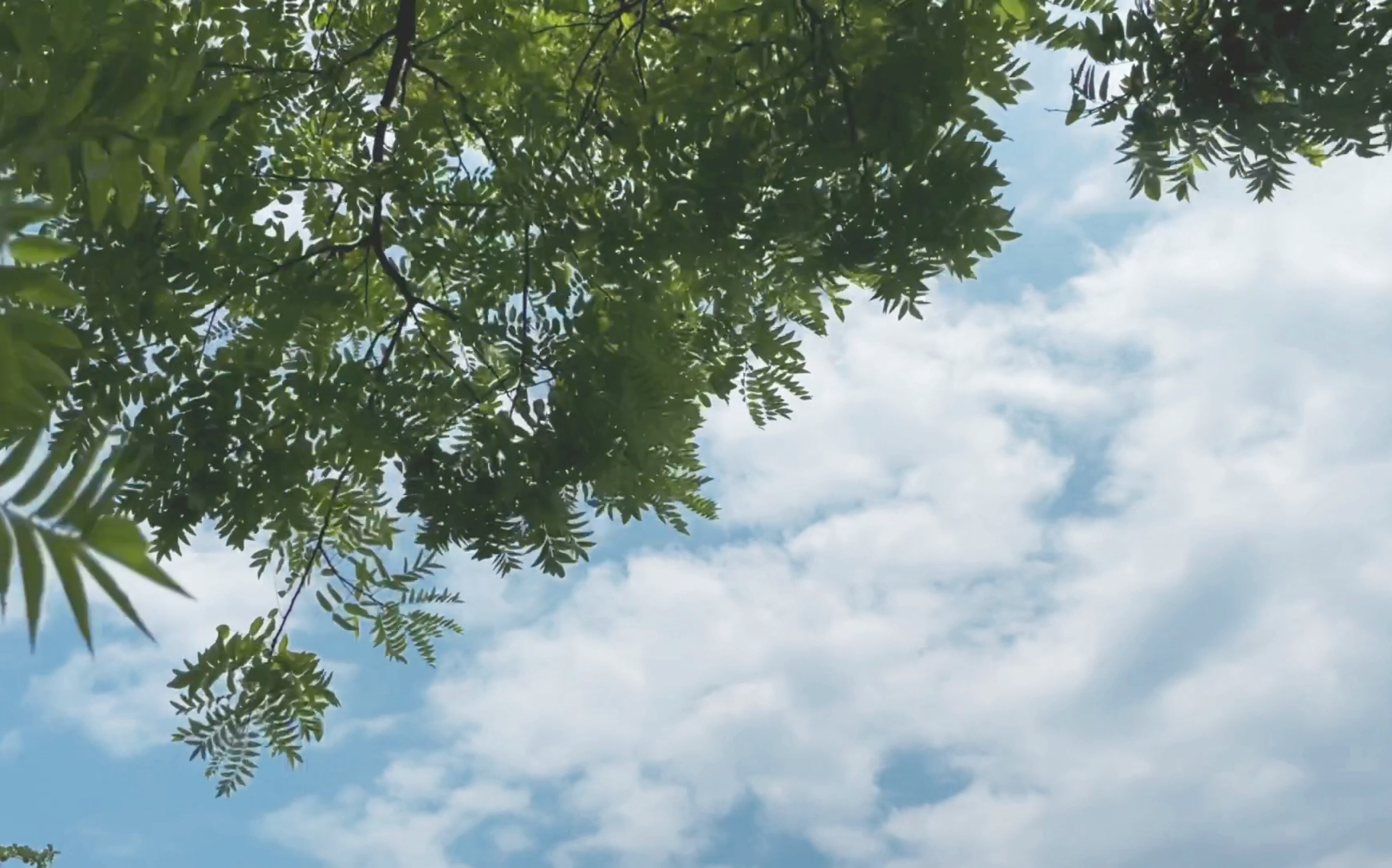 夏天的街景,夏天的江水,夏天的云,夏天的风,唯独没有夏天的你
