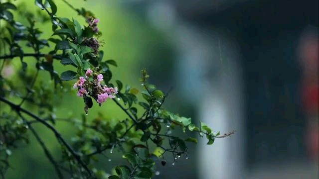 [图]《在清水河畔听雨》