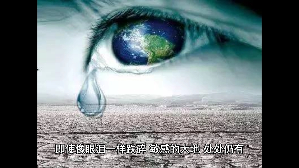 每日一诗|《献给我的同代人——舒婷(唯因不被承认,才格外勇敢真诚.即使像眼泪一样跌碎.敏感的大地,处处仍有,持久而悠远的回声.)哔哩哔哩...