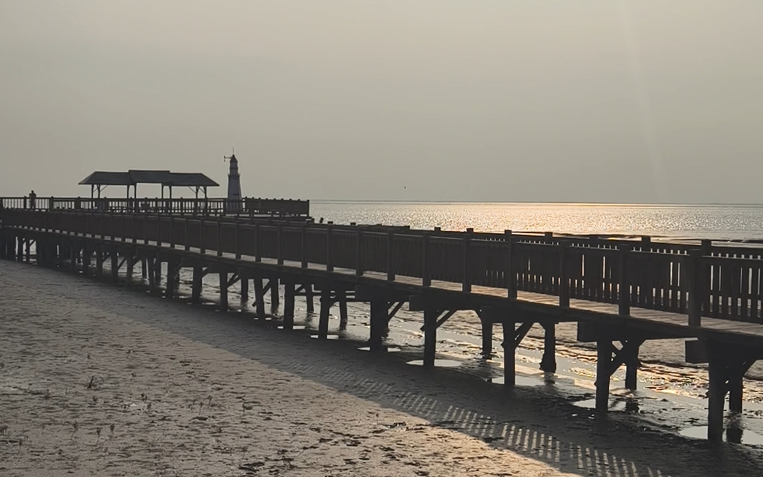 [图]盘锦红海滩，夕阳下栖息的丹顶鹤