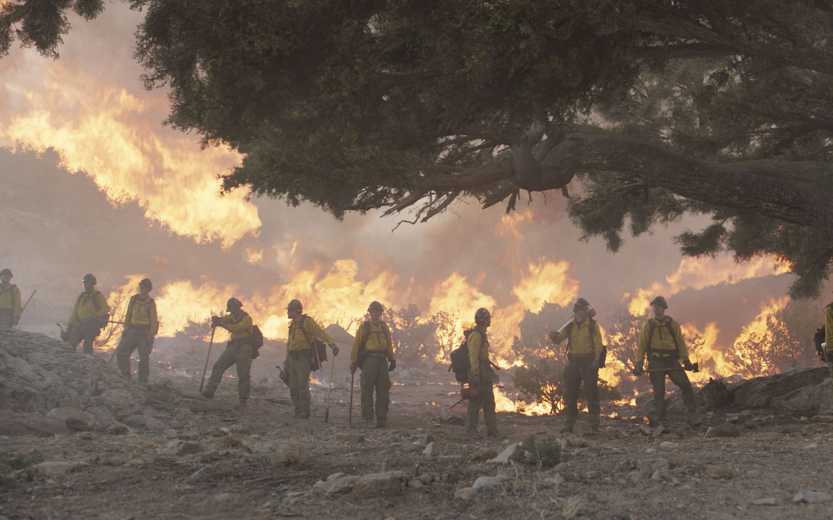 向英雄致敬豆瓣评分84一场人与大自然的战争